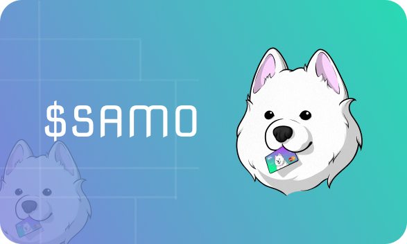 SAMO Project picture